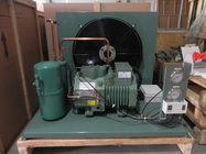 Unidades de refrigeración de condensación de la conservación en cámara frigorífica de la unidad de 4CES 6Y 404a