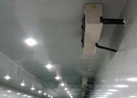 Cámara fría modificada para requisitos particulares de la densidad del trastero de enfriamiento del panel de 100m m 42KG/M3 para el almacenamiento de la carne