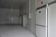 Paseo biológico farmacéutico de 220V 380V en el panel de Coldroom 150m m