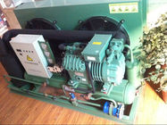 unidades de refrigeración de la conservación en cámara frigorífica de la unidad 4DES-5Y 5HP del compresor de la refrigeración de 220V 50Hz