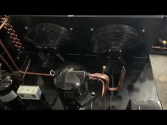 R404a Chiller and Freezer Room Copeland Refrigeration Unit ZSI09KQE 3HP Low Temp -23℃