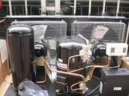 El aire de CAJ4461YHR TECUMSEH refrescó el sistema de refrigeración de condensación hermético de la unidad 1/2HP R134a