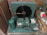 Equipo de sistema de condensación de refrigeración de la unidad de 4CES-9Y 9HP R404 Coldroom