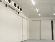 Paseo modificado para requisitos particulares del panel de bocadillo en cámaras frías comerciales 1.0m m de acero frescas del sitio 0.8m m