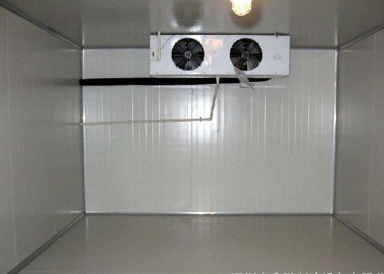 Frío de 380V 220V y sitio de ángulo recto del sitio 2,8 * 3,0 * los 2.6M Walk In Freezer del congelador