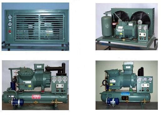 Unidad de condensación fría de la cámara 10HP  de R404a 4VES-10Y