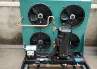 El aire de 3HP 2FES-3Y refrescó la unidad de condensación del sitio del congelador de la unidad de refrigeración R407