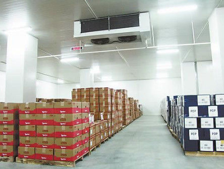 Paseo de ángulo recto SS304 en sitio industrial del congelador del panel de Coldroom 200m m