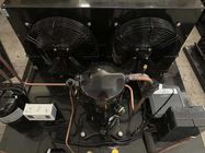 Unidad más desapasible de condensación de la cámara fría de la unidad ZB48KQE de la voluta de 7HP Copeland