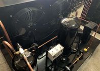 unidad de refrigeración de la cámara fría de 140-250m3 15HP ZB114KQE