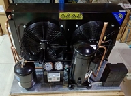 Conservación en cámara frigorífica hermética de la unidad 40m3 6HP CCC del compresor de la refrigeración de la voluta de Copeland