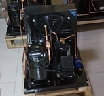 El aire de 2HP 220V refrescó la unidad de refrigeración R404a 50Hz de poco ruido FH2480Z