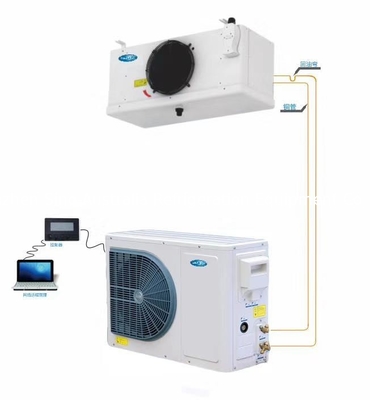 Unidad de refrigeración de condensación de Coldroom de la unidad de los temporeros medios de CM-DAM020QYT 2HP